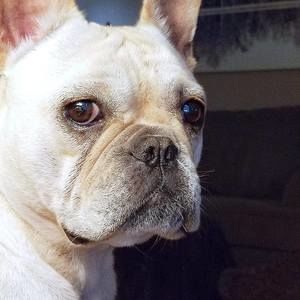 Meet your Posher, Lea